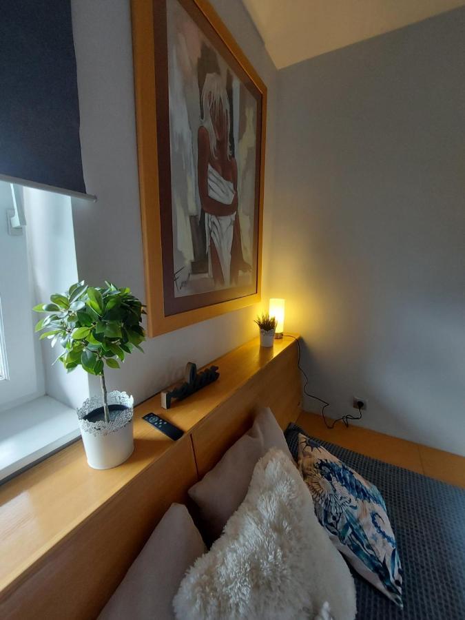 Center Danube Street Apartment نوفي ساد المظهر الخارجي الصورة