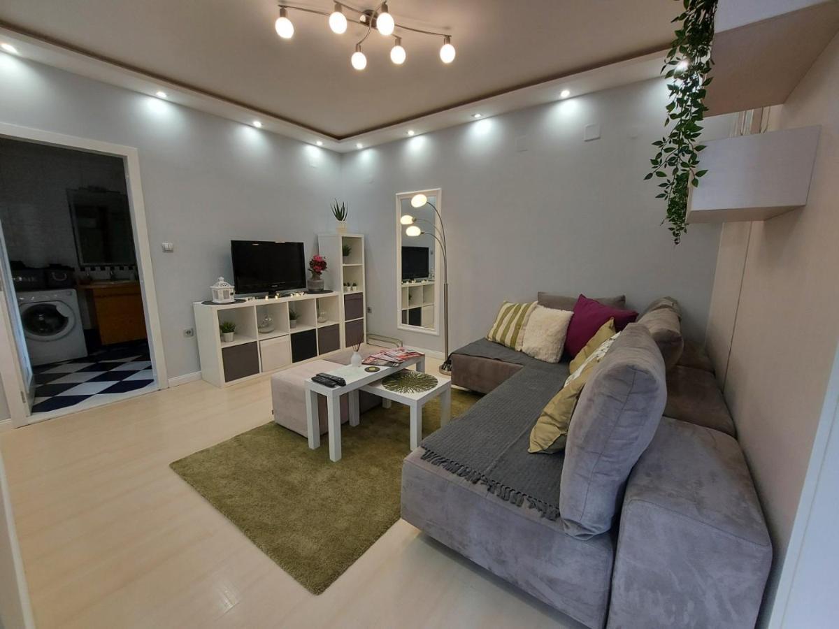 Center Danube Street Apartment نوفي ساد المظهر الخارجي الصورة