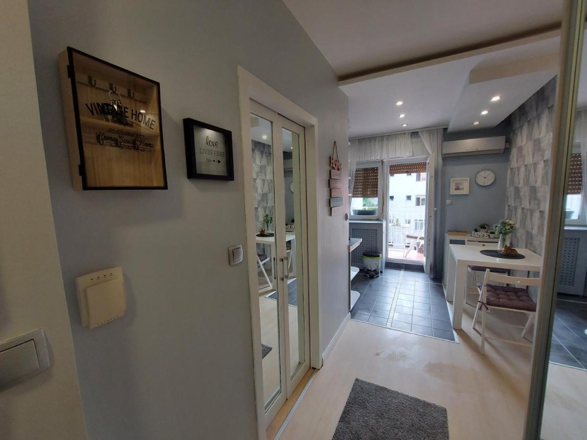 Center Danube Street Apartment نوفي ساد المظهر الخارجي الصورة