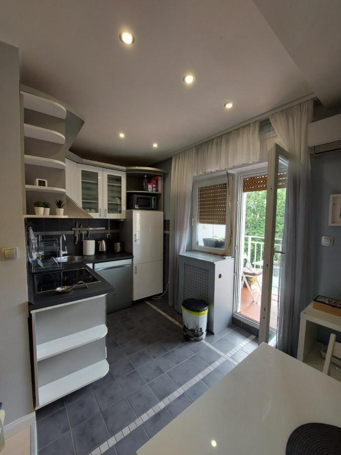 Center Danube Street Apartment نوفي ساد المظهر الخارجي الصورة